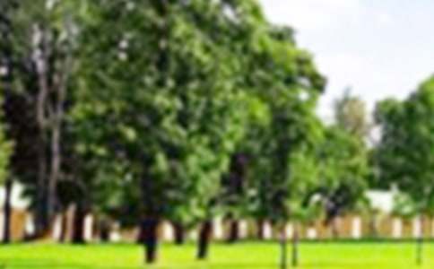 �P�ڹ��@������400��