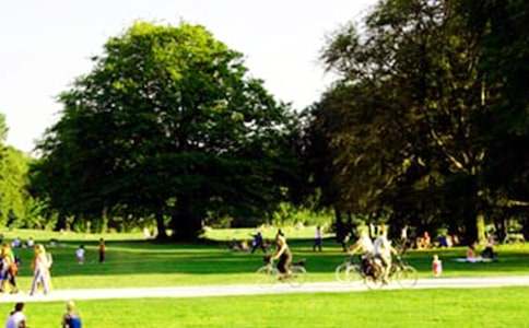 ���p�鹫�@����7ƪ