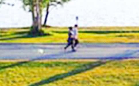 ���P��ƽ���@���ĺϼ�7ƪ