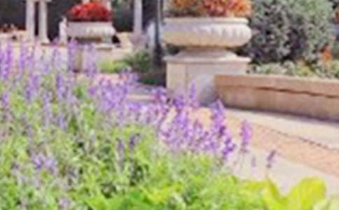 �����Ĺ��@�����ģ����x20ƪ��