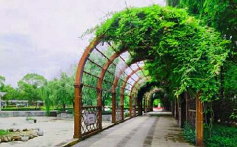 ���@��ɫ400��С�W���꼉�������ģ�ͨ��33ƪ��