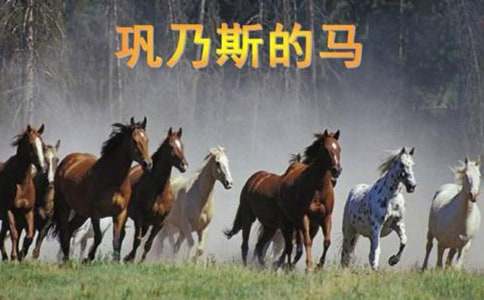 ���˹���R��xӖ������