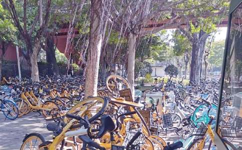 2024�����܇�����������h�������x16ƪ��