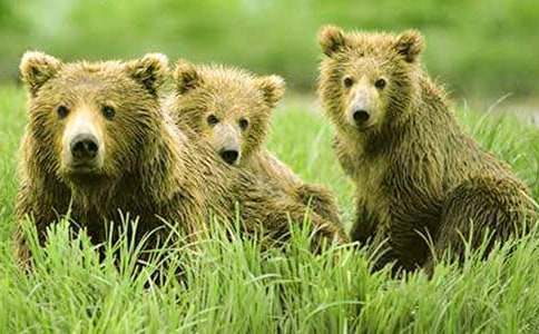 С����½̰��Դ���С�Ĺ���