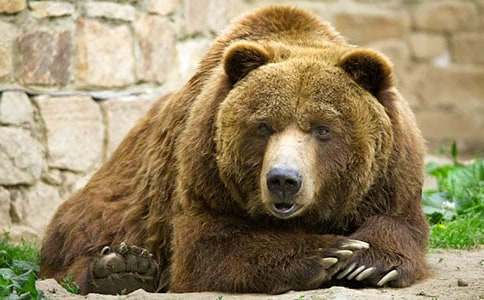 �Ϯ��Ĺ���ͯԒ����