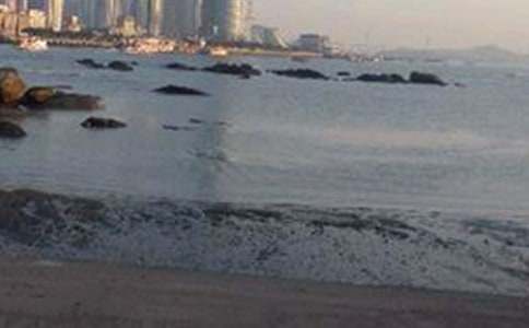 ���ˎZ������