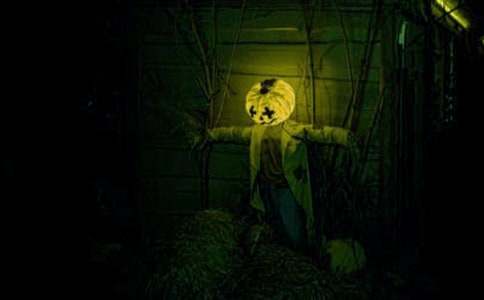 ҹ�J��������