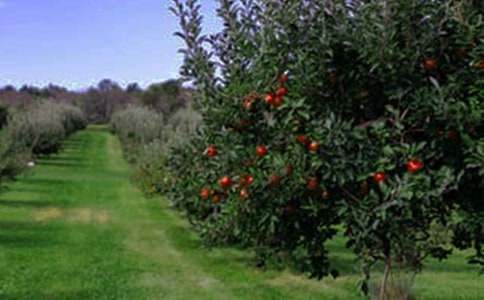 ���P���@����300�֣�ͨ��38ƪ��