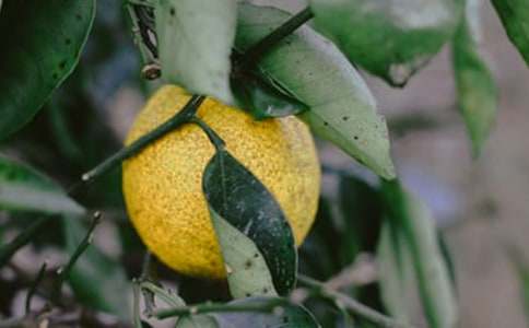 �����Ĺ��@���ġ��]��