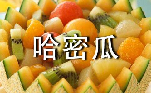 關于哈密瓜的作文