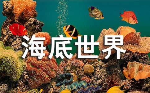 長沙海底世界400字作文