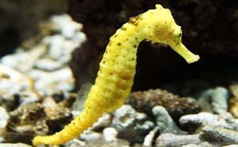 ���R����300��5ƪ