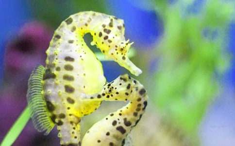 ���Ϻ��R��ǳ�һ����