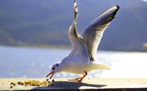 ���t�u�T܇����