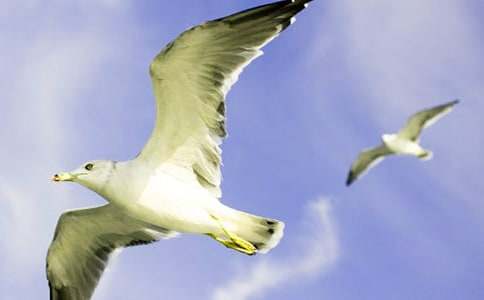 ���t������300��8ƪ