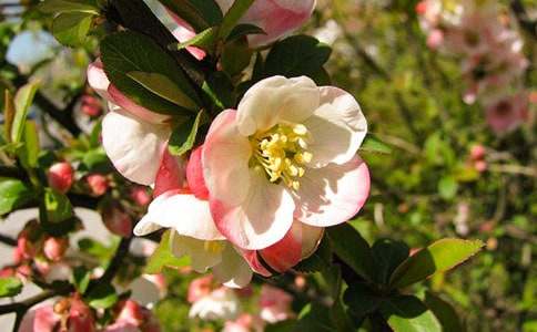 ���~�����^��У����x10ƪ��