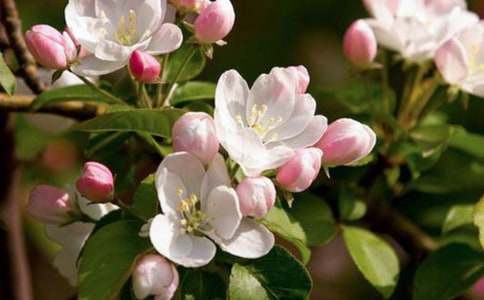 �������󿴺�������700��