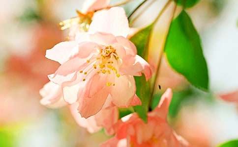 ����һ�꺣�Ļ��_�r�W�����Z��ͨ��17ƪ��