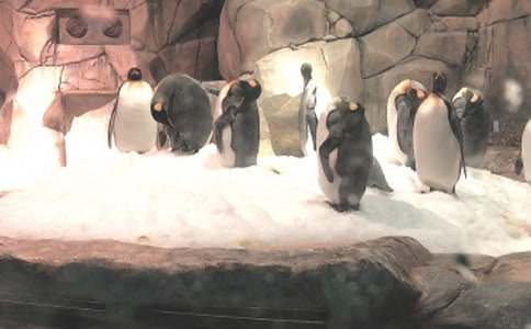 ���B�ϻ������󹫈@����