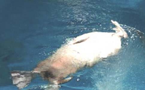 ���󹫈@����200�֣�ͨ��35ƪ��