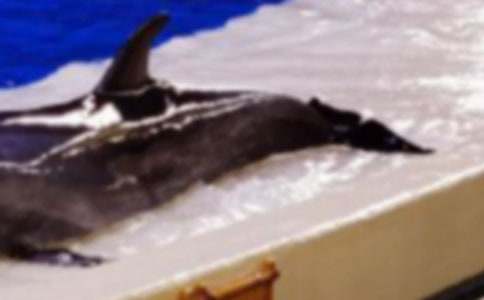 ���������~-1200������