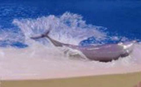 �P�ں����ͯԒ����