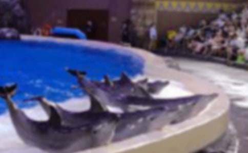 �����c��ʹ֮�ٳ�������