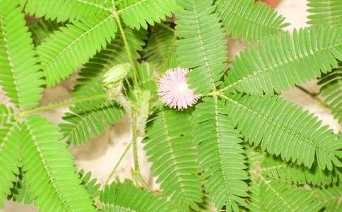 ���߲�����900��