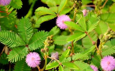 �^�캬�߲�����