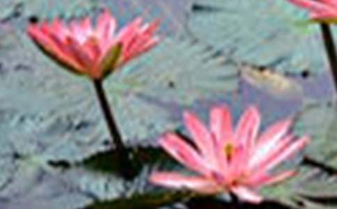 ��ϲ�g�ɻ���������ƪ