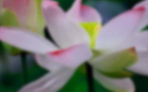 �^��ɻ�����ӛ450�֣�ͨ��32ƪ��