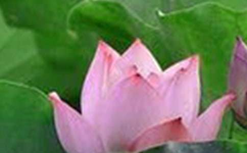 �^��ɻ�������