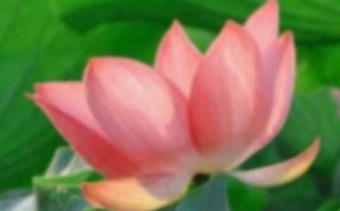 ٝ���ɻ���Ԋ���ȫ