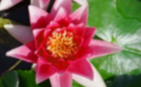 ٝ���ɻ������ԼѾ�