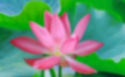 ���ºɻ���ˮ�r���꼉����