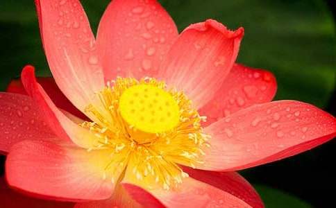 �ɻ��^����ӛ(11ƪ)