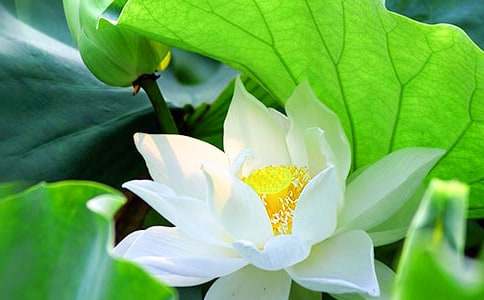 ���꼉�ɻ�������400��