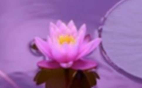 ���؂䡿���C���ąR��5ƪ