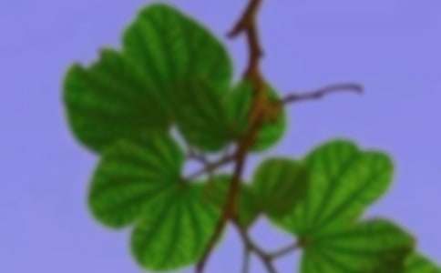 ���C֮��750��