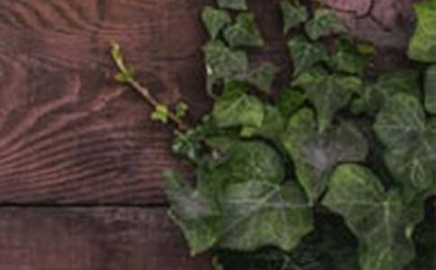 ���C�����\��6ƪ