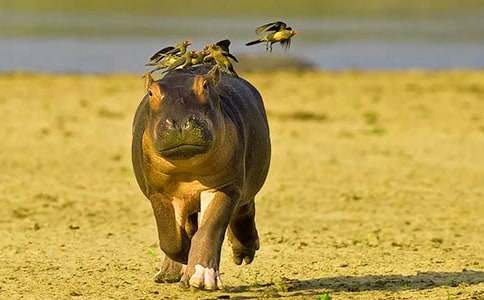 С���R�Ķ��꼉����