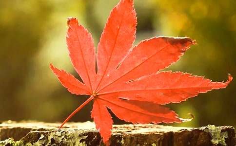 �t�~ʯ骵��~������300��