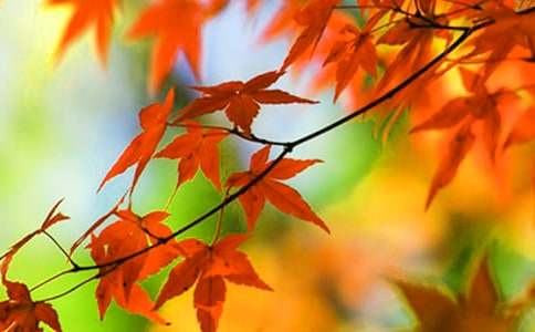 �P����ɽ�t�~������