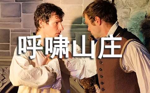 呼嘯山莊讀書筆記摘抄