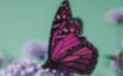 �����������ģ�ͨ��16ƪ��