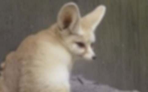 �����x����؂ͯԒ���ĺϼ�7ƪ