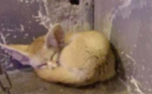 ��؂��؈��ͯԒ��������