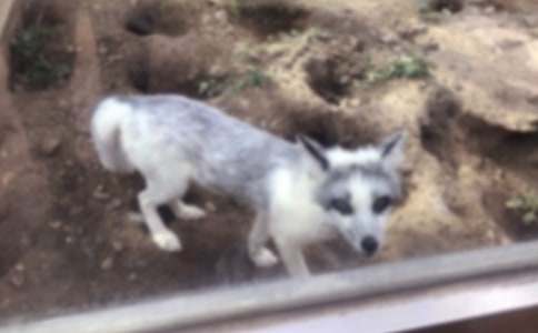 ��؂�͞��f������