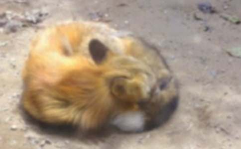 ��؂�͞��f����