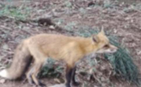 ؝���ĺ�؂ͯԒ����